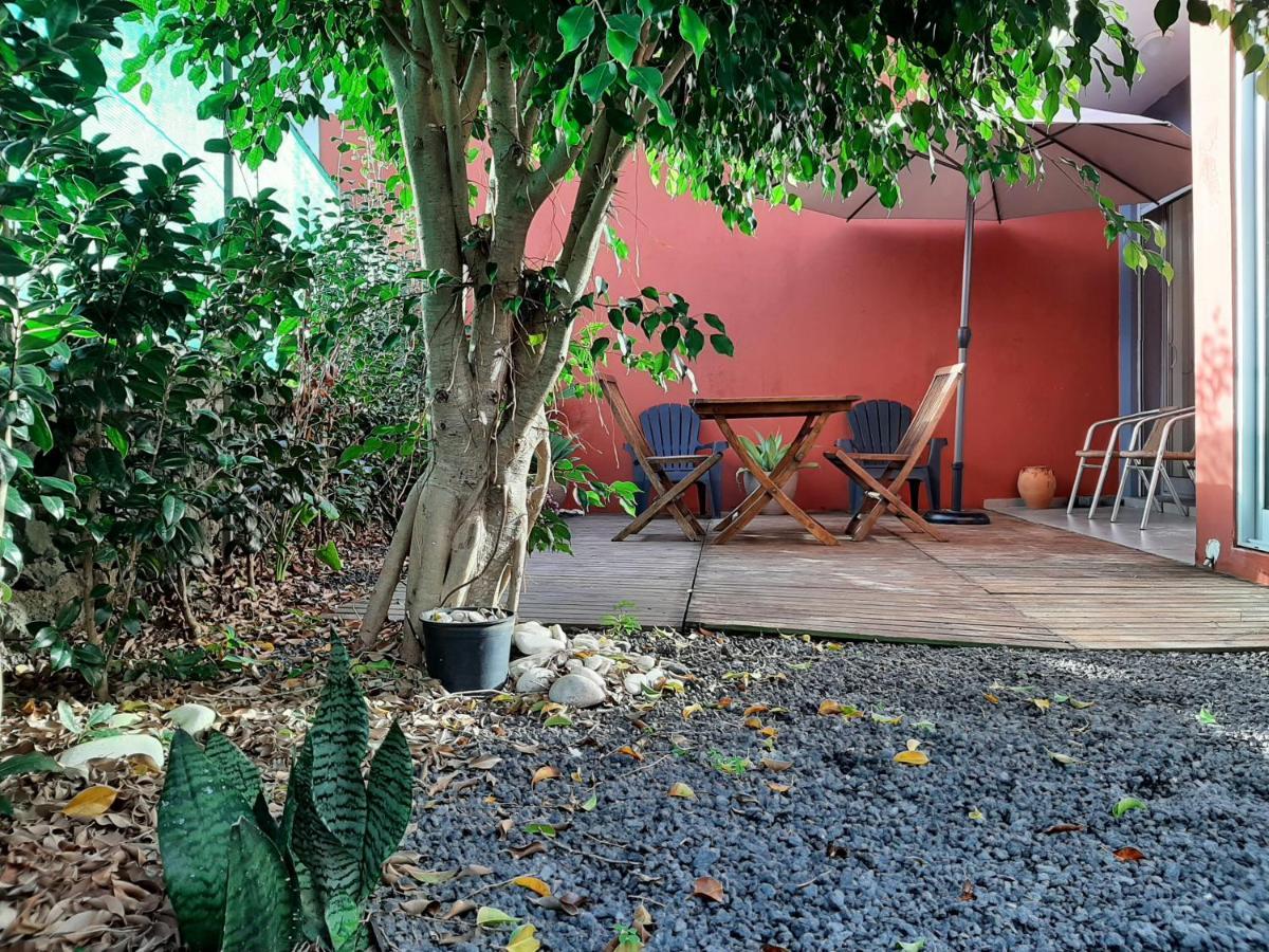 Casa Das Yucas - Patio Apartment Capelas Dış mekan fotoğraf